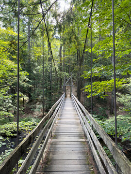 Empty wooden suspension bridge over Black Creek