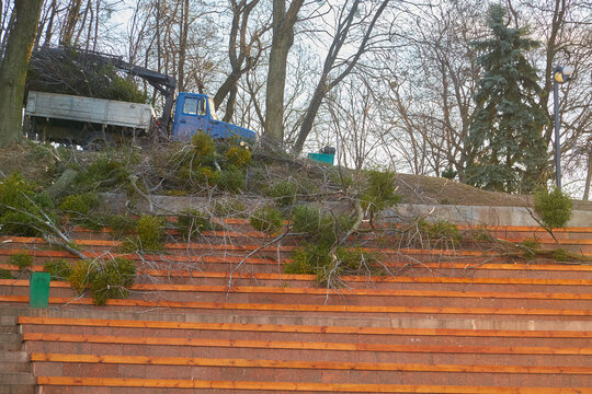 Utility workers cleaning up fallen tree branches in a city park.