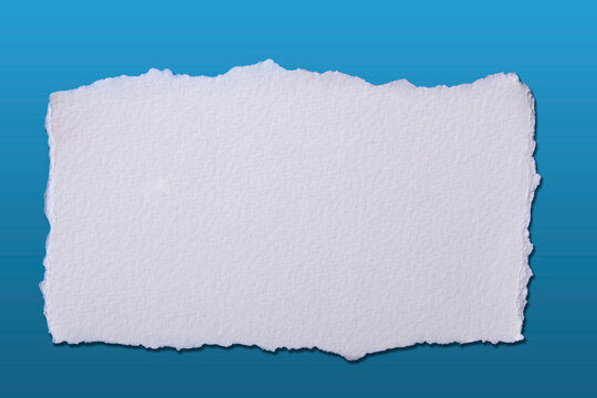 Blank white torn paper on gradient background