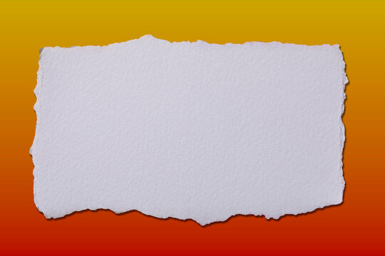 Blank white torn paper on gradient background