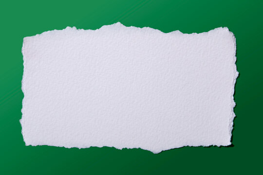Blank white torn paper on gradient background