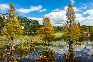 Fall in South West Florida...