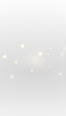 Festive Sparkle with Glowing Gold Dust