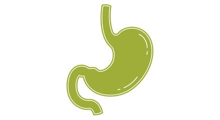 Fototapeta premium Stylized green outline illustration of a human stomach, representing digestive health and internal organ wellness. Ideal icon for medical, scientific, and biology concepts