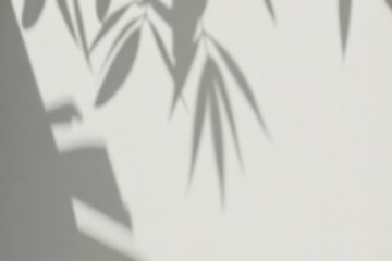A creative shot of shadows cast by bamboo leaves. The shadows create a striking pattern and...