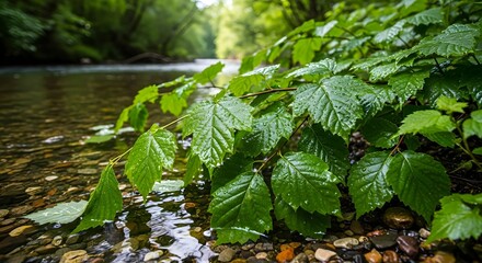 Close up of vibrant green leaves near a flowing river water surface