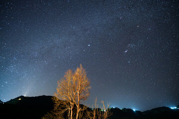 A tree is in the foreground of a starry sky Doi maesalong, Chiang rai,thailand