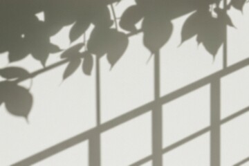 Shadow of window and leaves on the wall, an ethereal blend of natural elements and architectural...