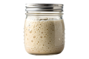 Glass jar filled with bubbly sourdough starter isolated on transparent background