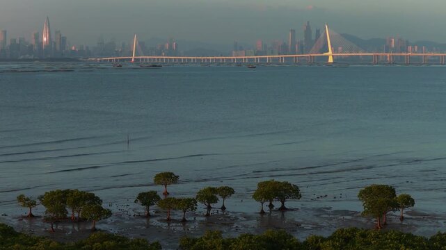 Shenzhen Bay Bridge and Lau Fau Shan Oyster Farm