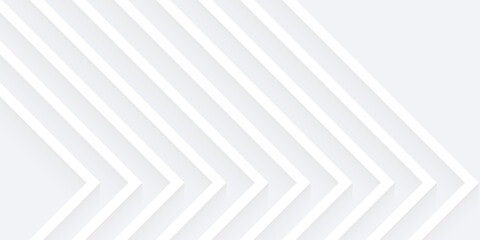 White silver soft geometric universal background for business presentation. Abstract elegant pattern. Frame borders. Minimalist empty lined blank BG.eps 10