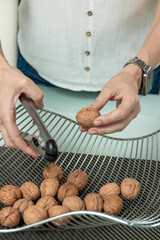 Person cracking fresh walnuts with a nutcracker