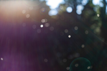 effetti della luce solare su fiocchi e piccole particelle naturali e leggere di pezzi di...