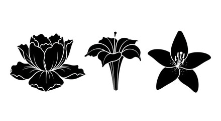 Black Flower Silhouette Vector Set – Decorative Floral Icons