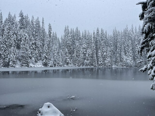 A winter landscape depicts a snow-covered forest surrounding a partially frozen lake during a snowfall. The atmosphere is quiet and misty.
