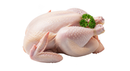 Whole raw chicken prepared for roasting with herbs for culinary delight transparent background white background