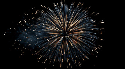 A burst of fireworks exploding in the night sky with golden and blue sparks radiating outwards brightly