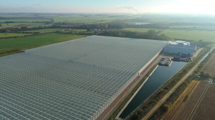 Aerial drone view of huge greenhouse, factory production and growing of vegetables and flowers for food sources at sunset near Bury Saint Edmunds, UK - Powered by Adobe