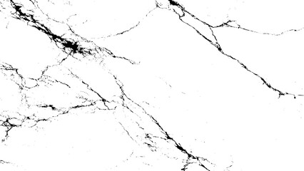 Monochromatic marble texture, abstract crack patterns, grunge, distressed isolated on transparent background, Vector, illustration