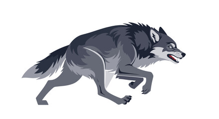 Fierce gray wolf with bared teeth and an aggressive expression running or jumping in a dynamic pose on a white background.