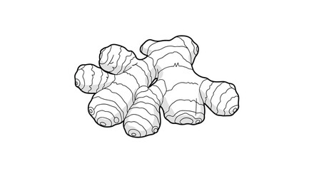 Black and white line art illustration of a knobby ginger root for coloring pages or as a simple icon for food designs.