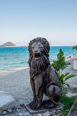 lion on the beach