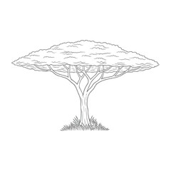 Hand-drawn Giant Tree Sketch