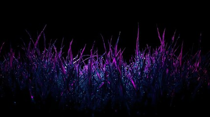 Cosmic Blade" - Dark Close-Up of Grass with Neon Purple and Teal Dewdrops on Black
