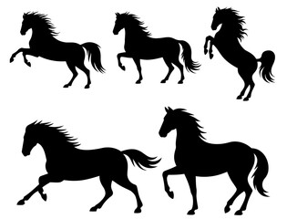 Horse silhouette vector collection equestrian equine animal graphic art