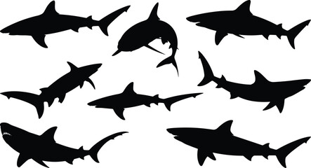 Shark silhouette vector set, black marine predator poses, swimming motion, fin shapes, ocean life graphic, aquatic illustration, design