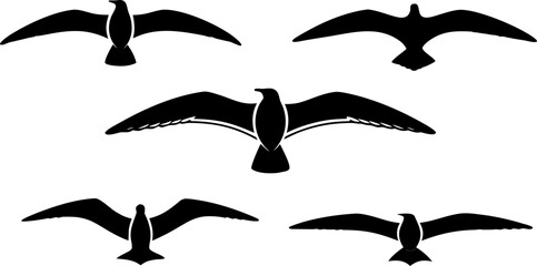 Collection of five black seagull silhouettes in flight, spreading wings across a clean white background, creating an iconic minimalist vector design element.
