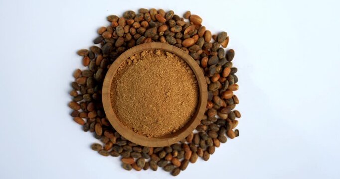 Jamalgota or Jayapala - Croton tiglium seed is an Ayurvedic medicine also known as purging croton