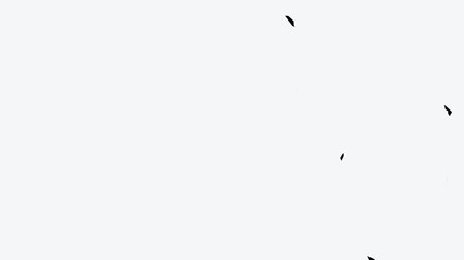 Welcome text banner intro outro Text + Alpha Channel