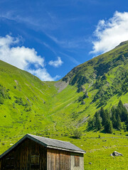 Wooden House in the French Alps on a July Day
