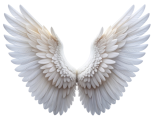  White Angel Wings Spread Wide — Symmetrical Front View, Isolated PNG