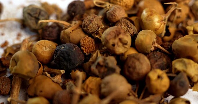 Ayurvedic Choti Kateli also known as Kantkari or Solanum Surattense dried and powder form