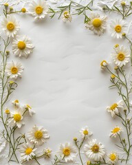 Delicate white daisy flowers border a clean, textured white background, soft lighting