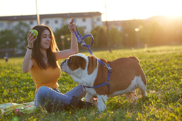 Young brunette girl play with her british bulldog
