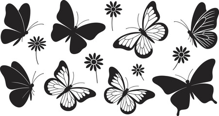 Vector set of black butterfly silhouettes and detailed outlines with delicate daisy flowers for nature design elements.