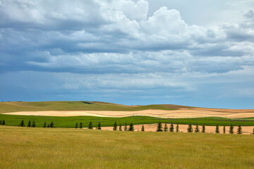 Layered Farmland and Stormy Skies Near Newdale, Idaho © jia