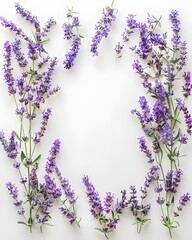 Purple lavender sprigs arranged artistically on a clean white background surface.