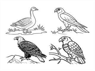 coloring page line art the bird black vector bundle
