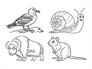 coloring page line art the bird black vector bundle