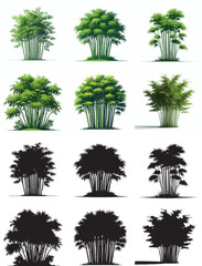 Vector and simple silhouette of bamboo tree on white background