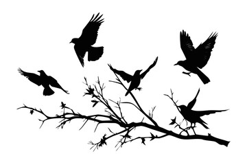 Birds flying around bare tree branches animal nature