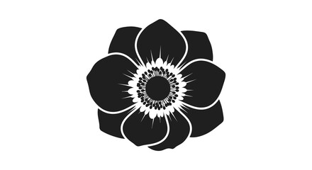 Detailed black and white anemone flower design a striking silhouette