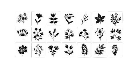 Collection of Black Botanical Silhouettes on White Background