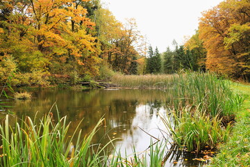 Jesienny staw © Ireneusz