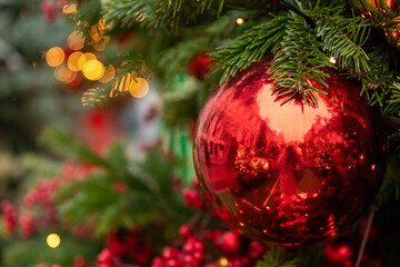 Red Christmas ball hanging on green Christmas tree. Christmas and New Year's Eve background. Close-up of balls on spruce tree. New Year's concept. High quality photo