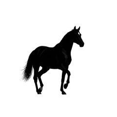 silhouette of a horse vector illustration 